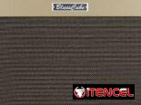 ¡Oferta única! Roland Blues Cube Artist – Amplificador de guitarra