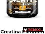 Creatina
