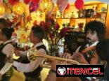 Mariachis para sus fiestas