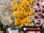 Flores artificiales