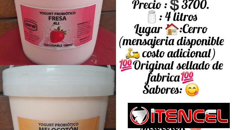 Yogurt probiotico