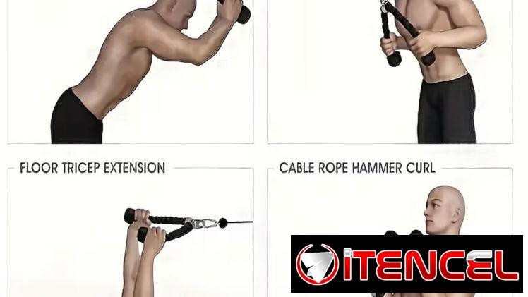 🔥 Agarre de Cuerda Premium para Tríceps y Bíceps 58234161 y 56902981 FITNESSARMY