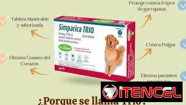 Simparica TRIO