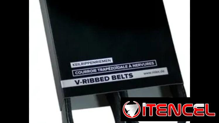 Correa de alternador Poly-V marca V-RIBBED BELTS ( alta resistencia )