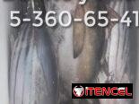 Pescado Atun de Aleta Negra