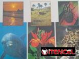 Libros para niños