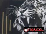 Pitos Hellas