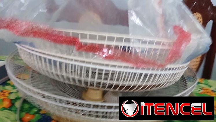 Caretas y Paletas de Ventiladores