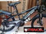Bicicletas. Medida 20