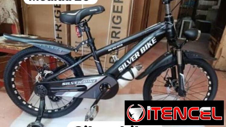 Bicicletas. Medida 20