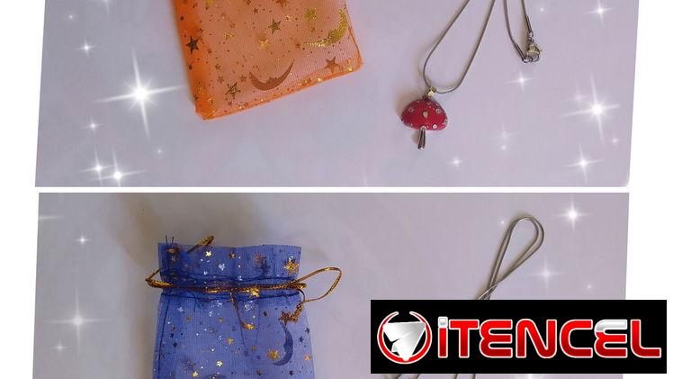 Collar de acero inoxidable precioso para regalo o para uso personal