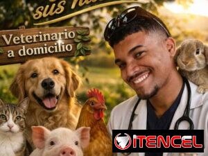 45c8c15ab8df971efa472e51613af8cdfdbe4924c558602c99fbc9636c8a0275