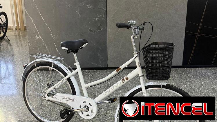 Bicis 26