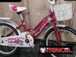 Bicicleta 20