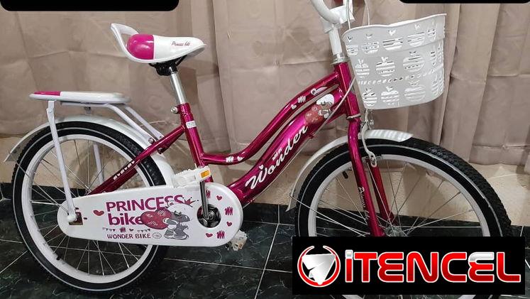 Bicicleta 20