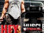 Whey Protein