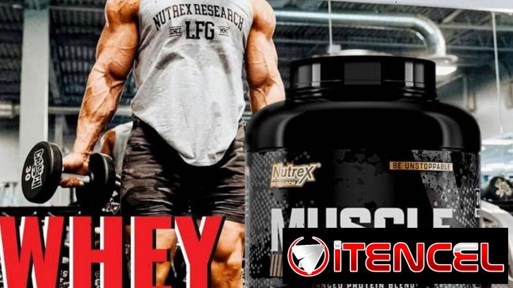 Whey Protein