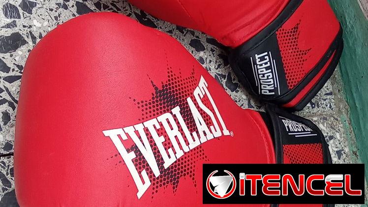 Guantes De Boxeo Everlast