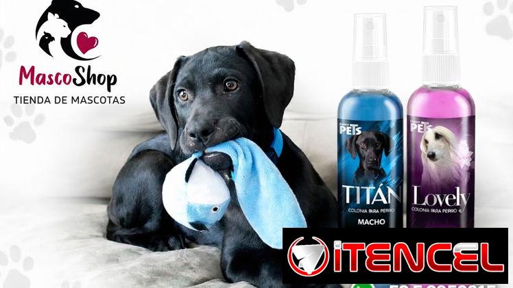 Colonia para perros