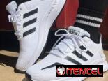 Tenis varios números disponibles