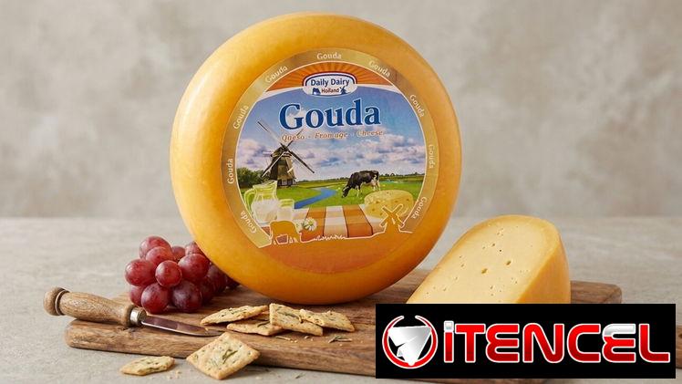 Queso Gouda Holandés