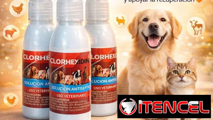 Spray de Clorhexidina