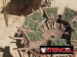 Plantas decorativas