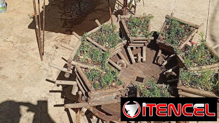 Plantas decorativas