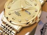 LANGQIES Reloj Elegante Automático 42mm (Gold) | videojuegoshabana.com