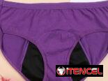 Ropa interior complementaria para el período blumer