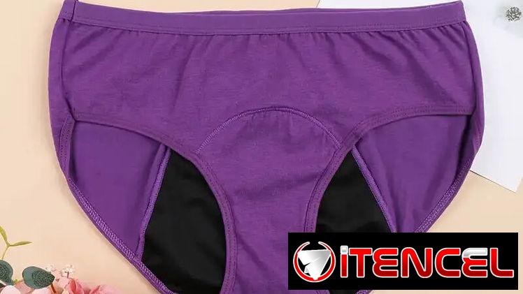 Ropa interior complementaria para el período blumer