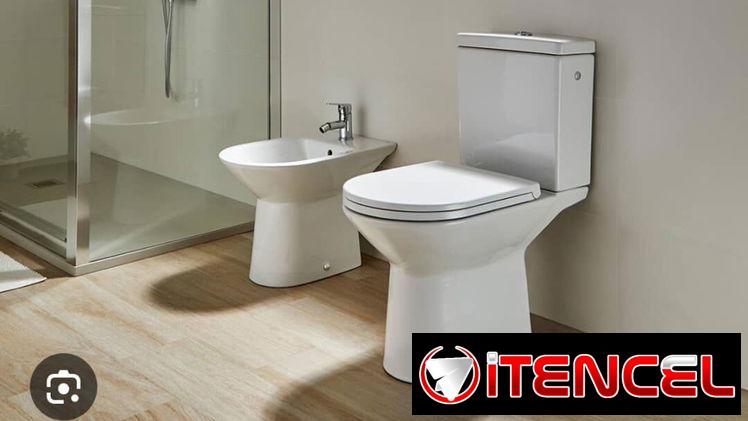 Juego de baño Roca Gala  ( tasa de baño Roca gala)