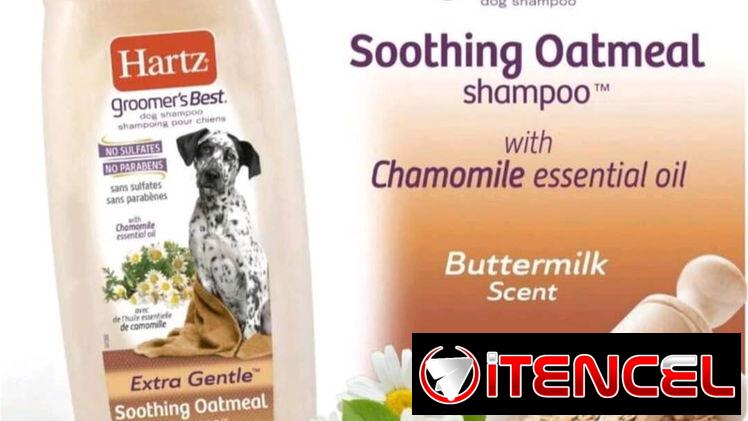 Champú para mascota