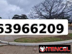 476d3207ee0bb48040b2138ca9f795857a0648593e72963026b4255c34a6e2ca