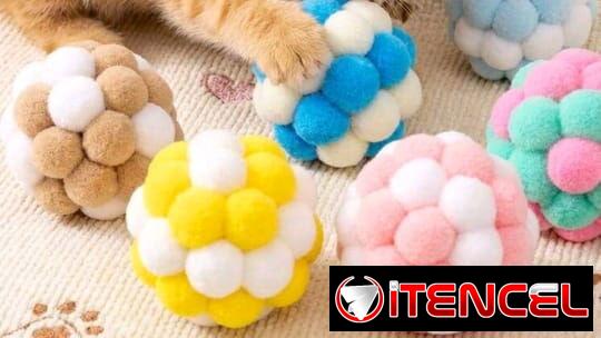Tienda de artículos para mascotas.