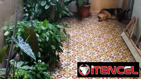 Venta de casa en Lawton puerta de calle