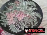 Platos