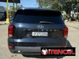 Vendo negocios, Hyundai Palisade, 2020 básico