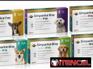 485cac1f3ff7f1ba9ec89d24aaada6320724edb75ea7633bab19a812de2a677b