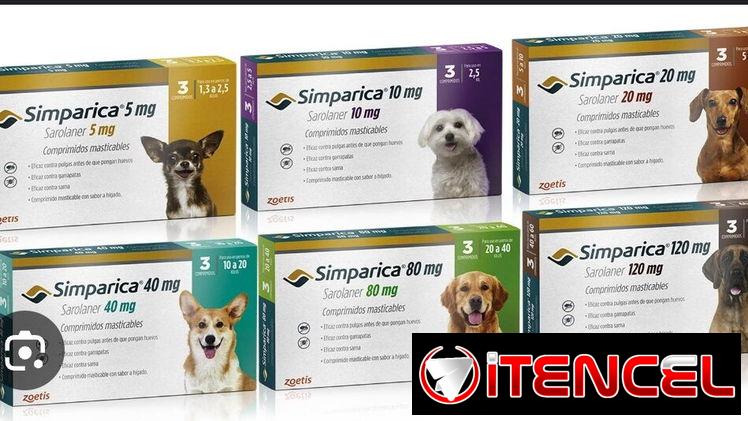 SIMPARICA Y SIMPARICA TRIO PARA PERROS [ CONTRA PULGAS Y GARRAPATAS]