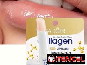 48a8f497a49215e82abda4a15309adf46337c2180cfce8a616a90d8b17a3378e