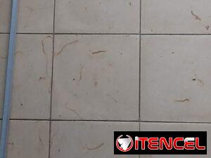 48ac75202c08776193eb605ea160bca344e830a2a99de97743912d611d20bcd6