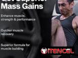 Mass Gainer MuscleTech Suplemento Dietético