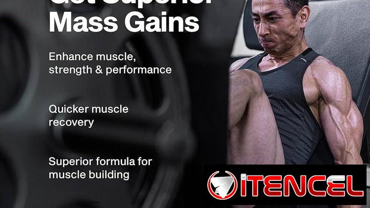 Mass Gainer MuscleTech Suplemento Dietético