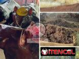COMIDA CRIOLLA 💥LA COCINA DE SERAFÍN 💥