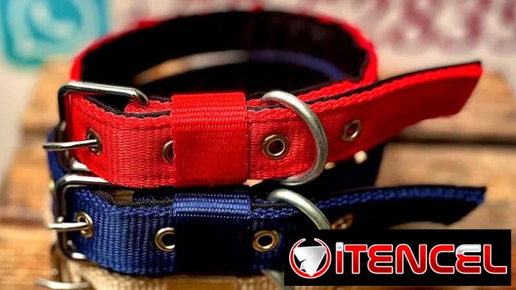 COLLAR DE PASEO REFORZADO PARA PERROS GRANDES Y FUERTES