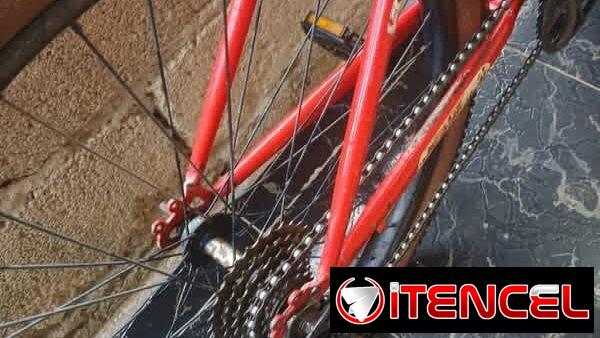 Bicicleta