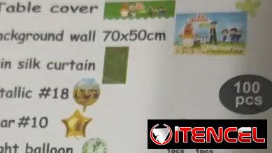 Set decorativo 100 pcs Granja de Zenon M29(TPEx)