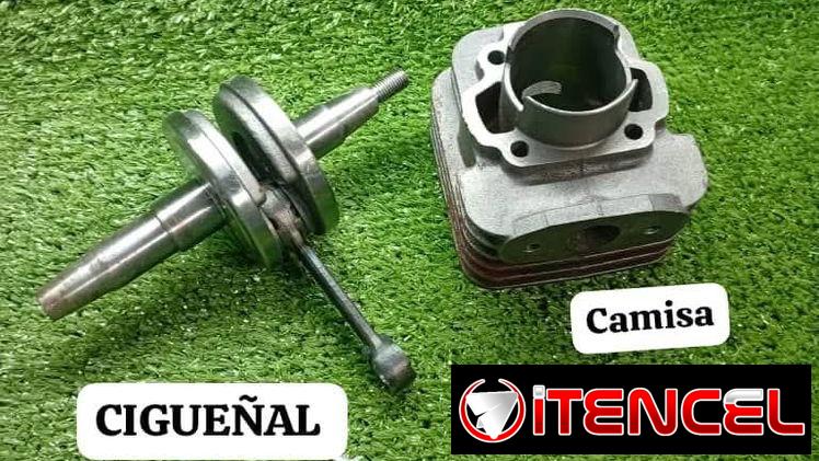 Reparación de planta 2t