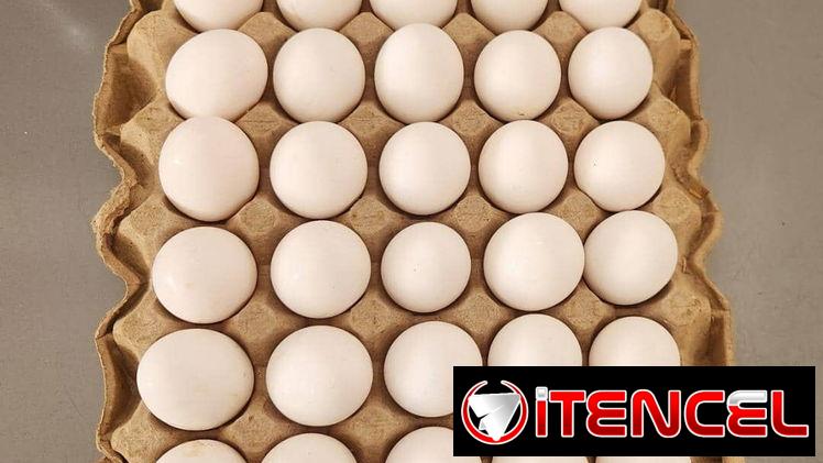 Huevos